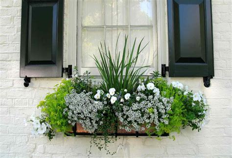 simple window box ideas